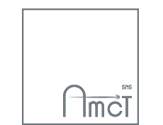 AMCT85